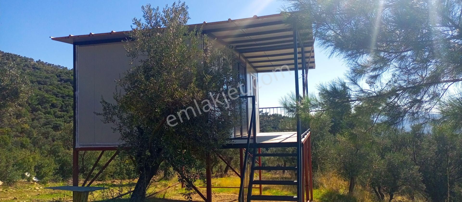 Torbalı Dirmil'de Muhteşem Manzaralı, Yolu Olan, İçinde Konteynır Olan 4260m2 Zeytinlik Satılıktır - Görsel 4