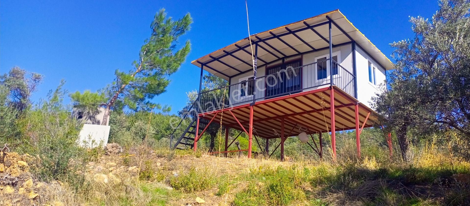 Torbalı Dirmil'de Muhteşem Manzaralı, Yolu Olan, İçinde Konteynır Olan 4260m2 Zeytinlik Satılıktır - Görsel 5