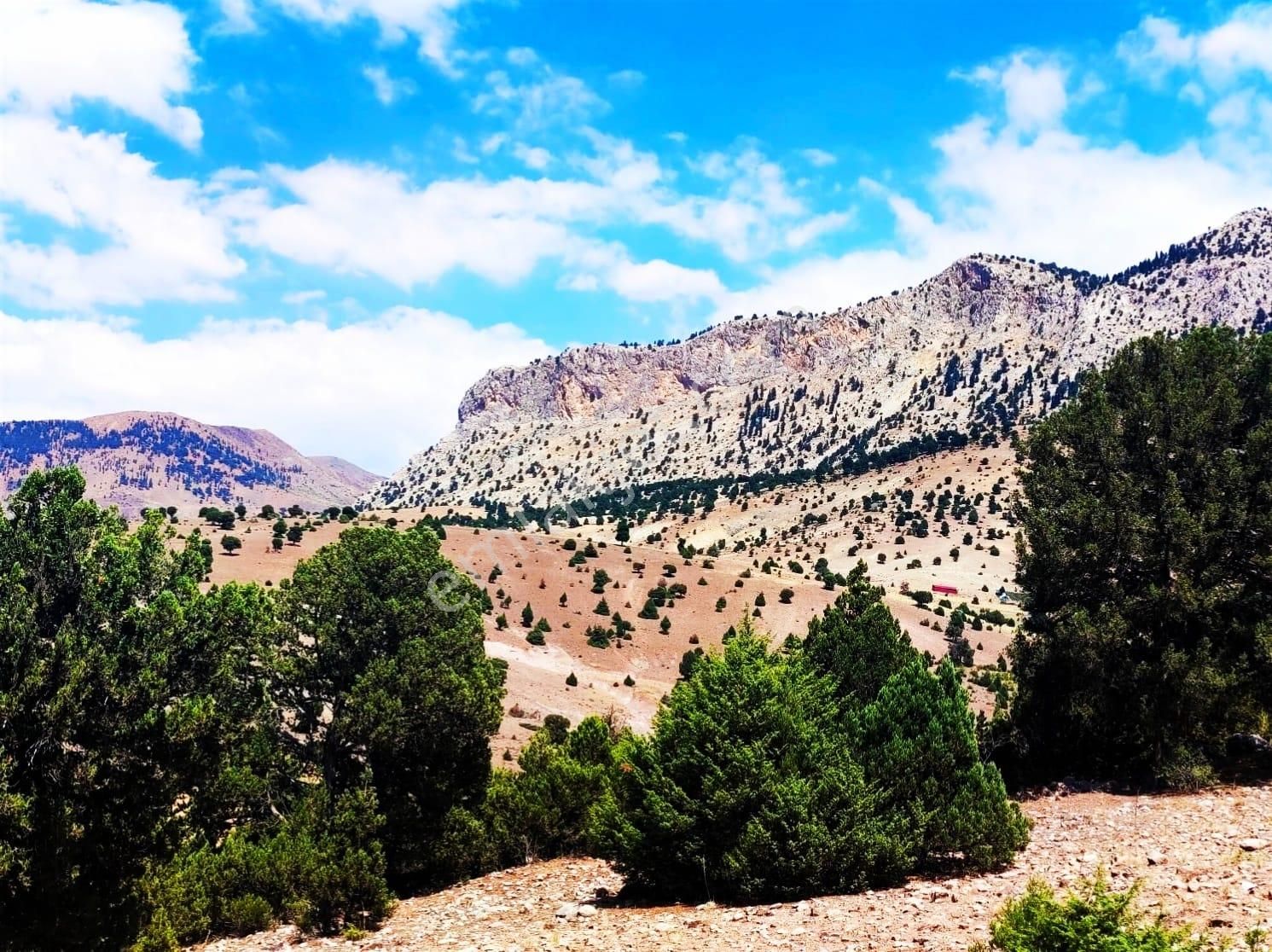 Kar Emlaktan Aşçıbekirli Fenese Mevkiinde 400 M2 Satılık Arsa - Görsel 23