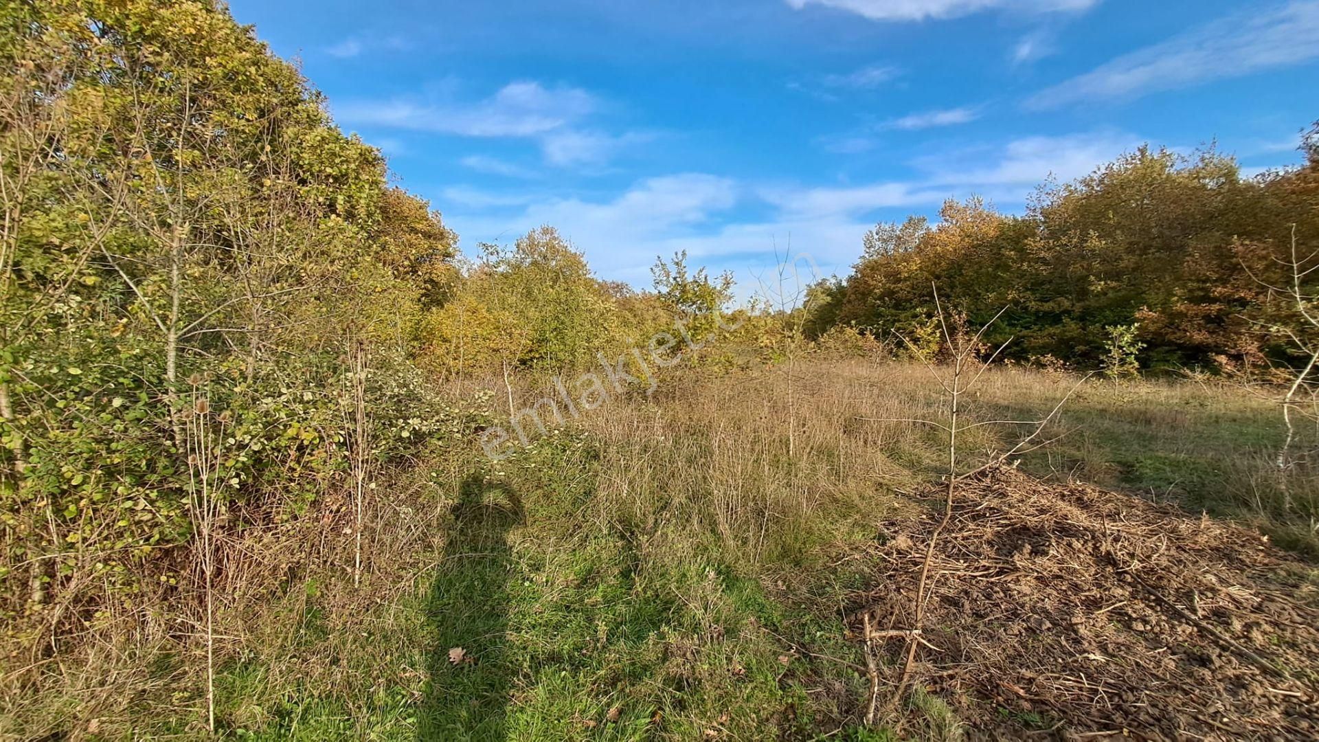 Akgün Kurumsal'dan Lengerli'de 5840m2 Satılık Fırsat Arsa - Görsel 20