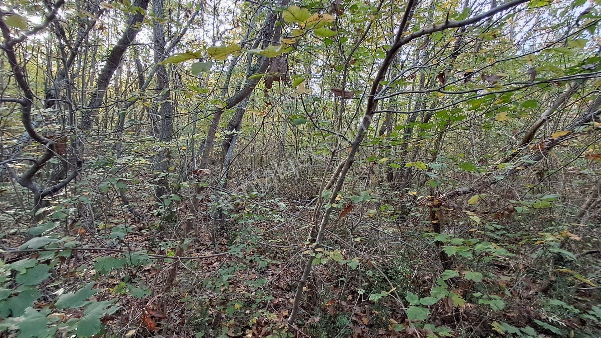 Akgün Kurumsal'dan Lengerli'de 5840m2 Satılık Fırsat Arsa - Görsel 8