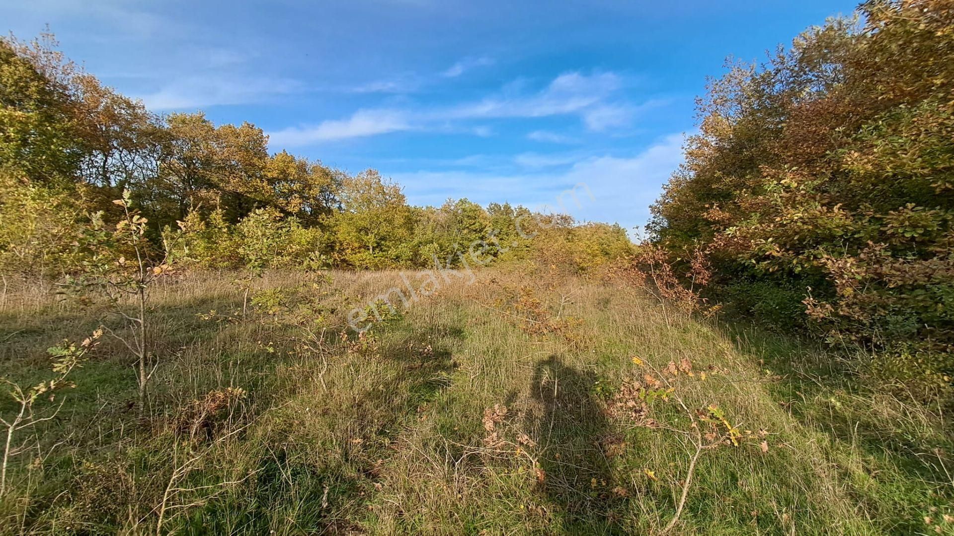 Akgün Kurumsal'dan Lengerli'de 5840m2 Satılık Fırsat Arsa - Görsel 13