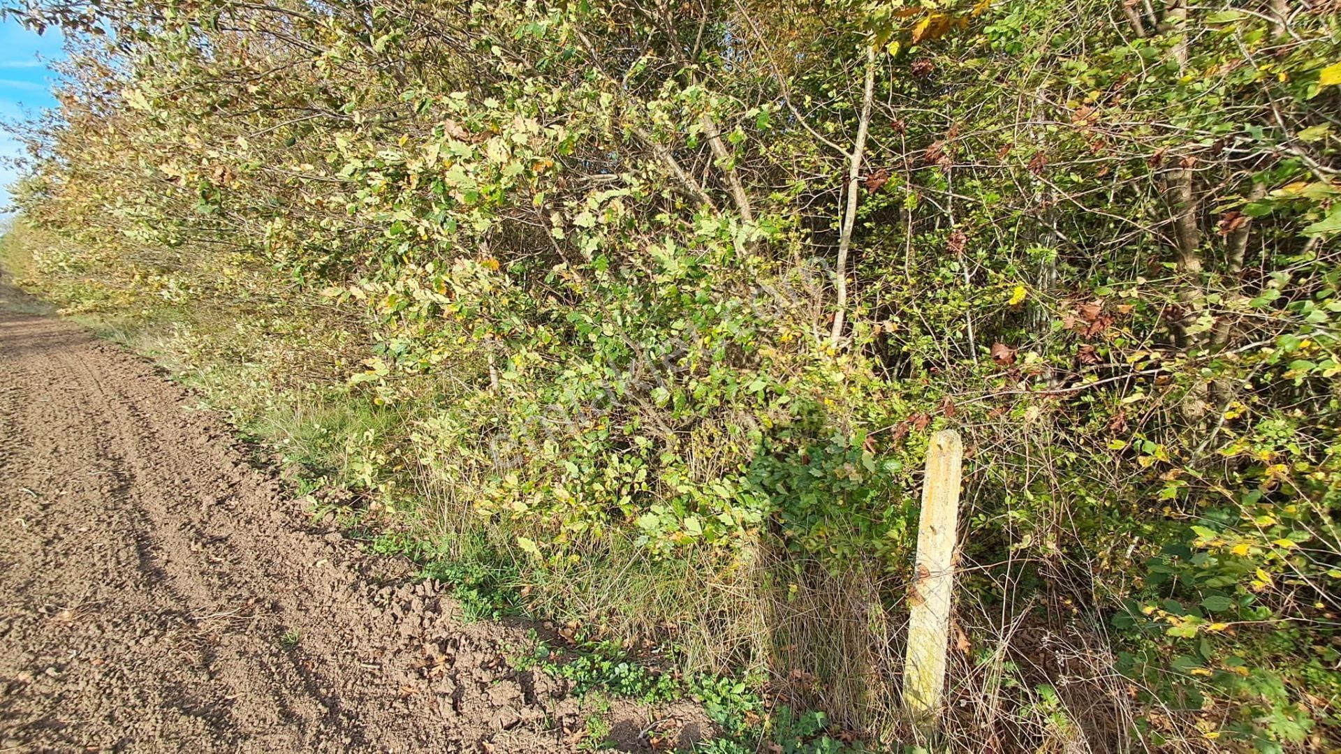 Akgün Kurumsal'dan Lengerli'de 5840m2 Satılık Fırsat Arsa - Görsel 18