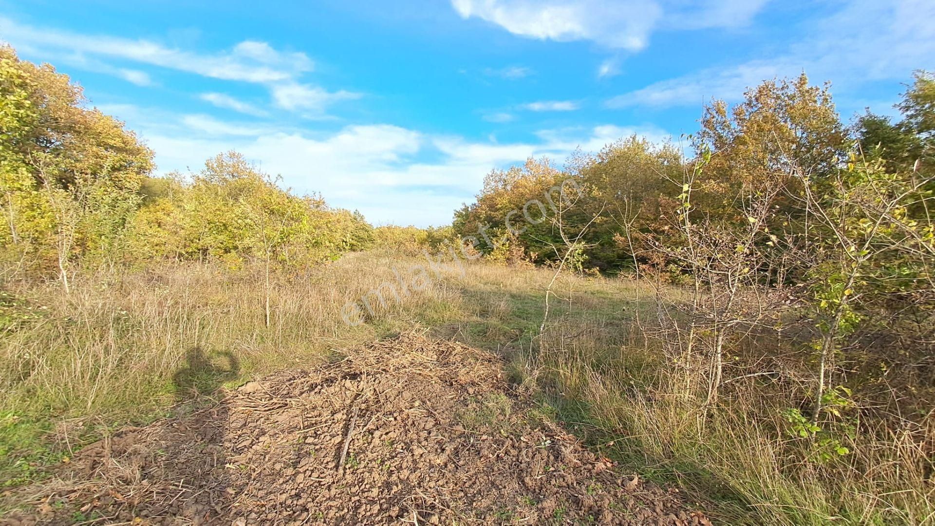 Akgün Kurumsal'dan Lengerli'de 5840m2 Satılık Fırsat Arsa - Görsel 17