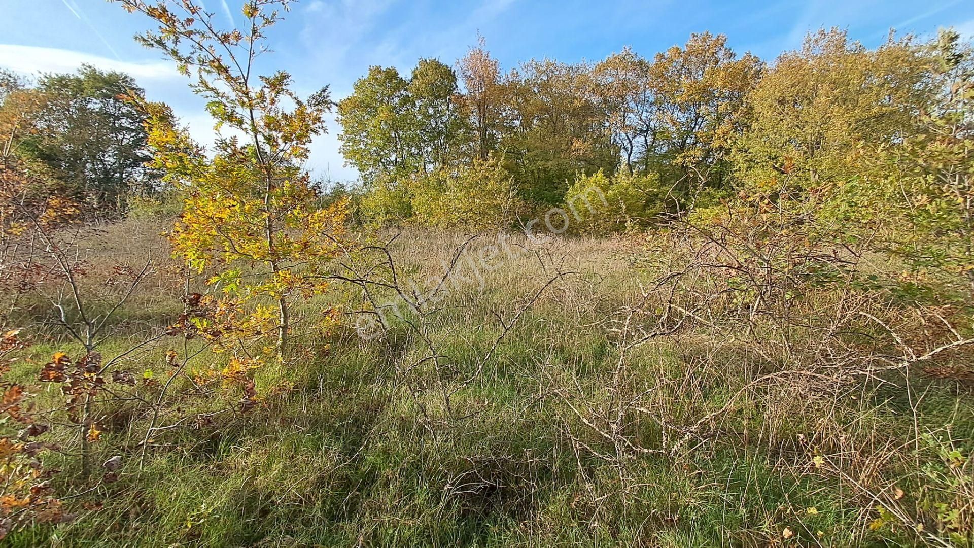 Akgün Kurumsal'dan Lengerli'de 5840m2 Satılık Fırsat Arsa - Görsel 15