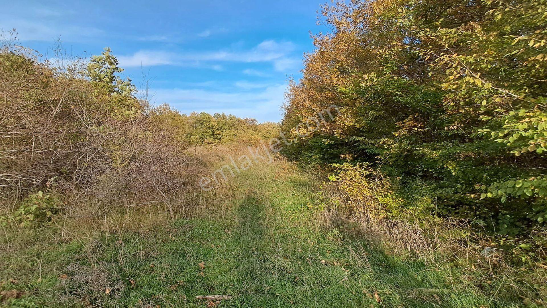 Akgün Kurumsal'dan Lengerli'de 5840m2 Satılık Fırsat Arsa - Görsel 19