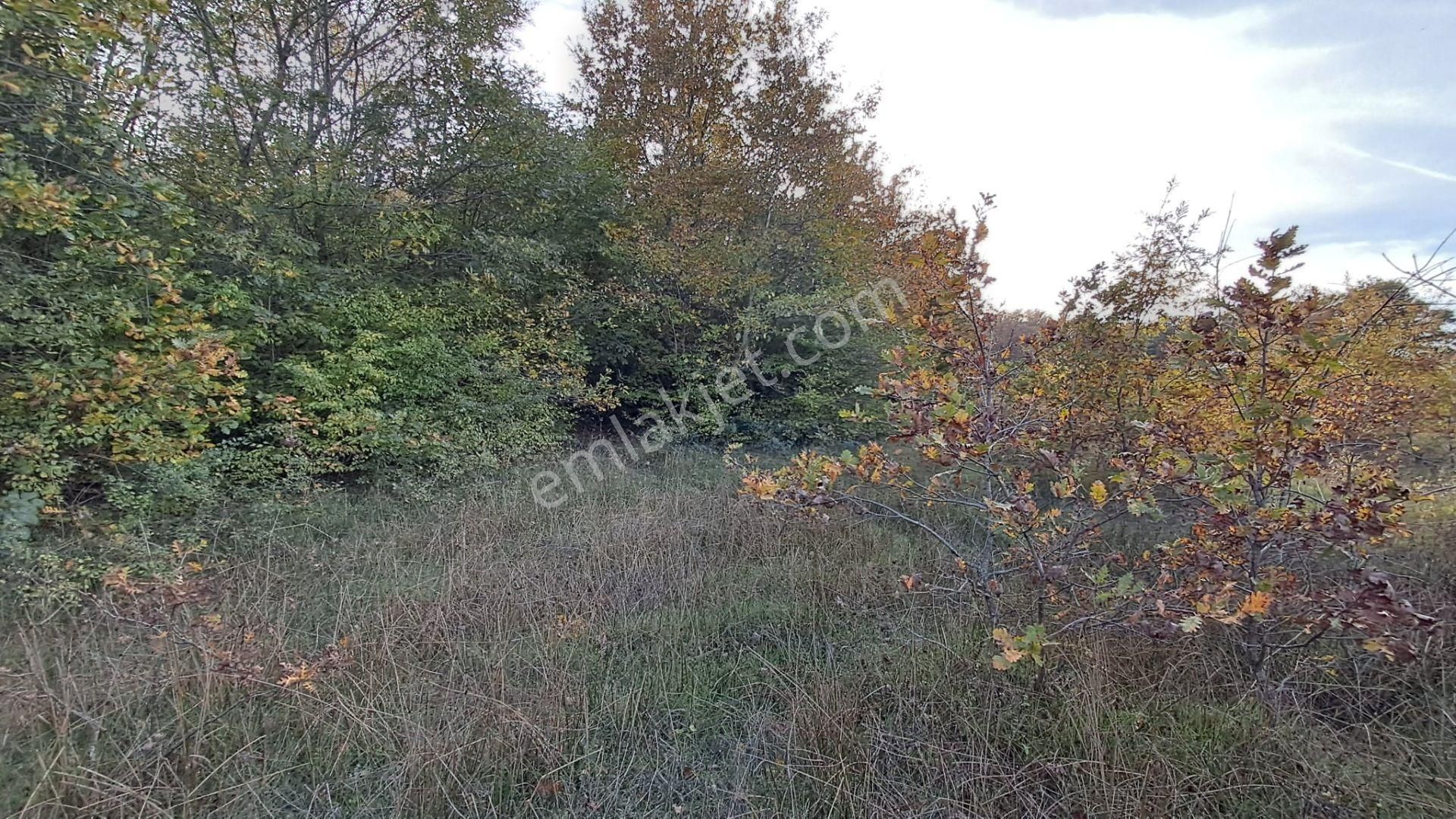 Akgün Kurumsal'dan Lengerli'de 5840m2 Satılık Fırsat Arsa - Görsel 5