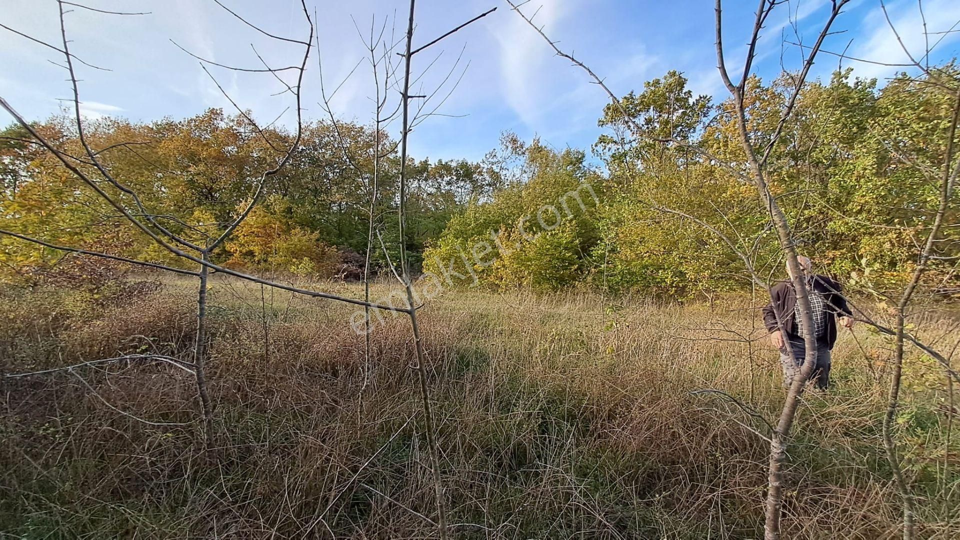 Akgün Kurumsal'dan Lengerli'de 5840m2 Satılık Fırsat Arsa - Görsel 2