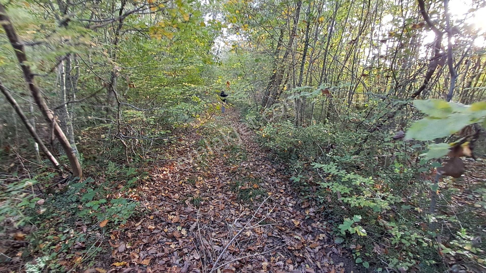 Akgün Kurumsal'dan Lengerli'de 5840m2 Satılık Fırsat Arsa - Görsel 11