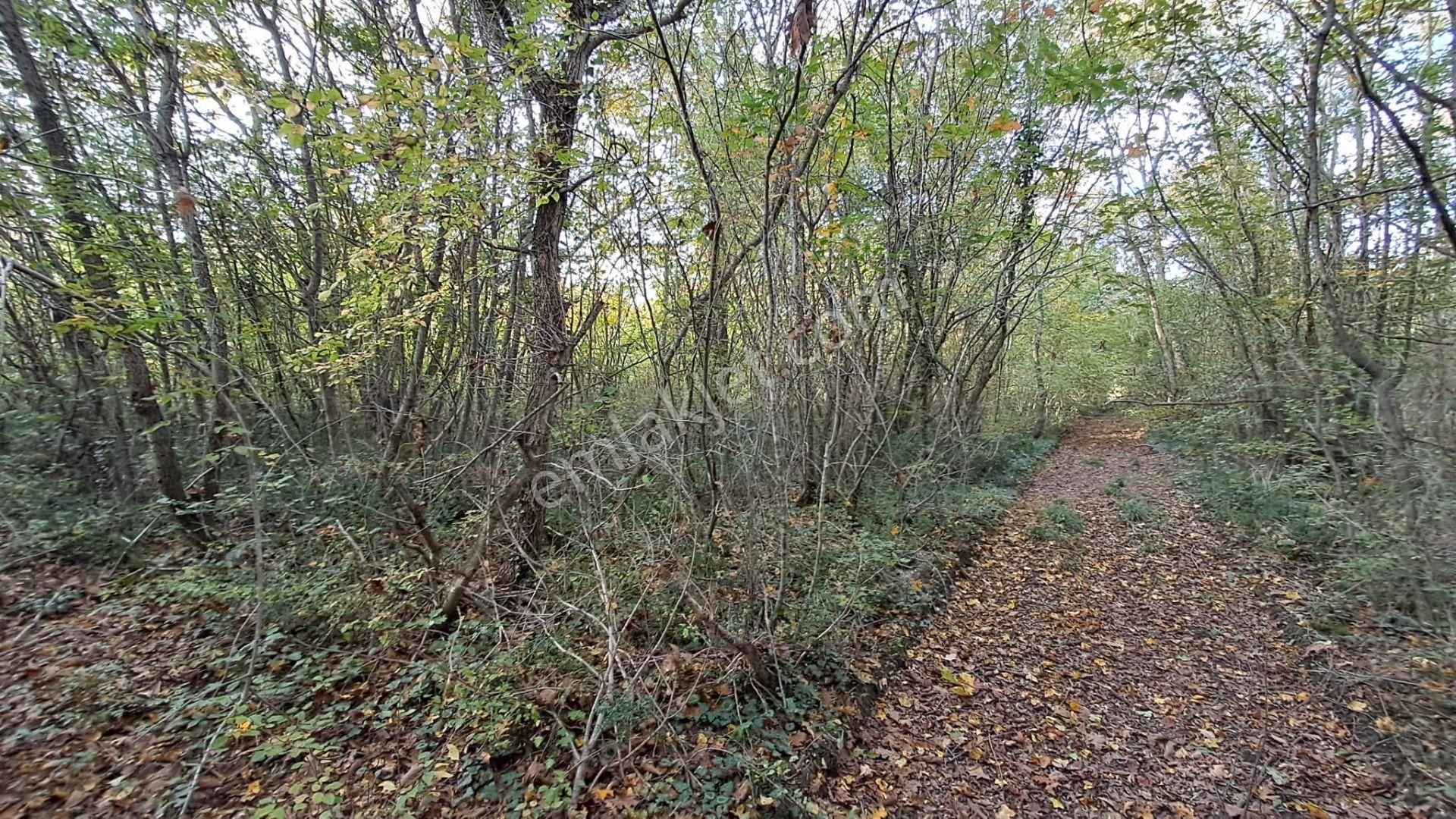 Akgün Kurumsal'dan Lengerli'de 5840m2 Satılık Fırsat Arsa - Görsel 9