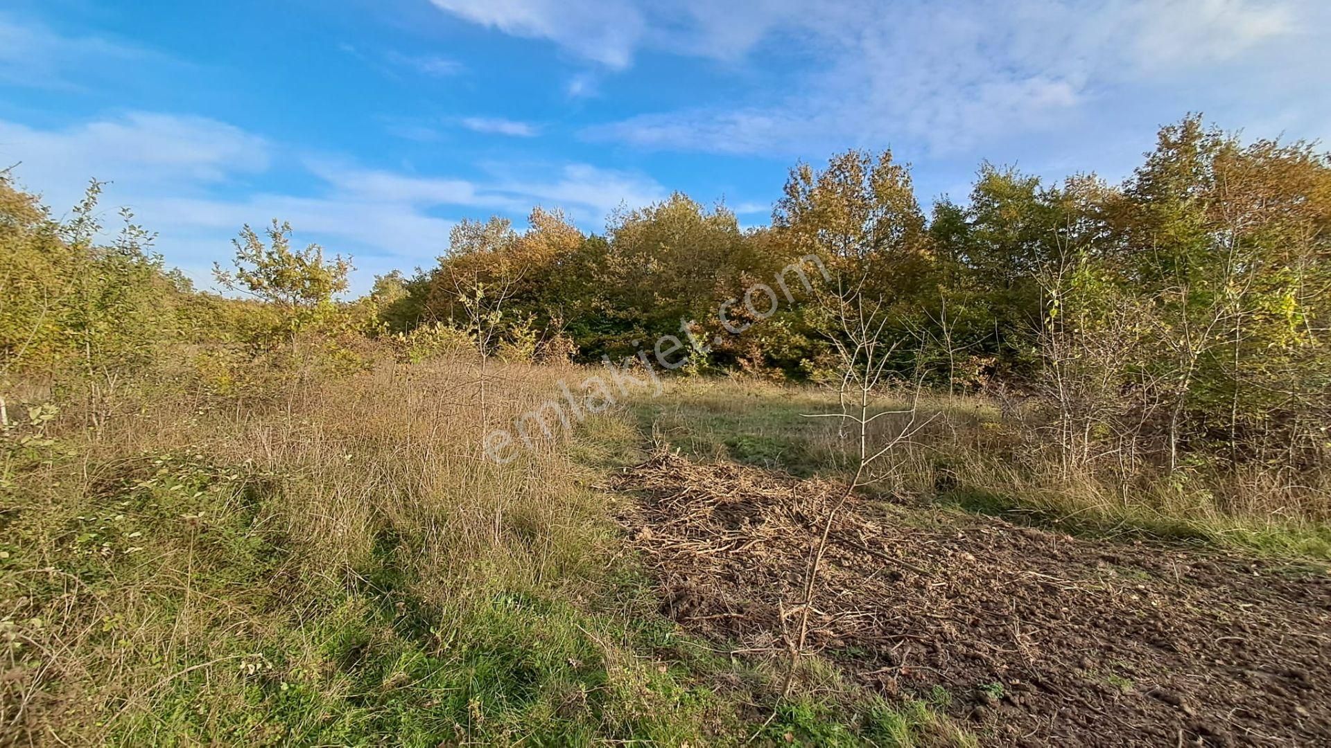 Akgün Kurumsal'dan Lengerli'de 5840m2 Satılık Fırsat Arsa - Görsel 16