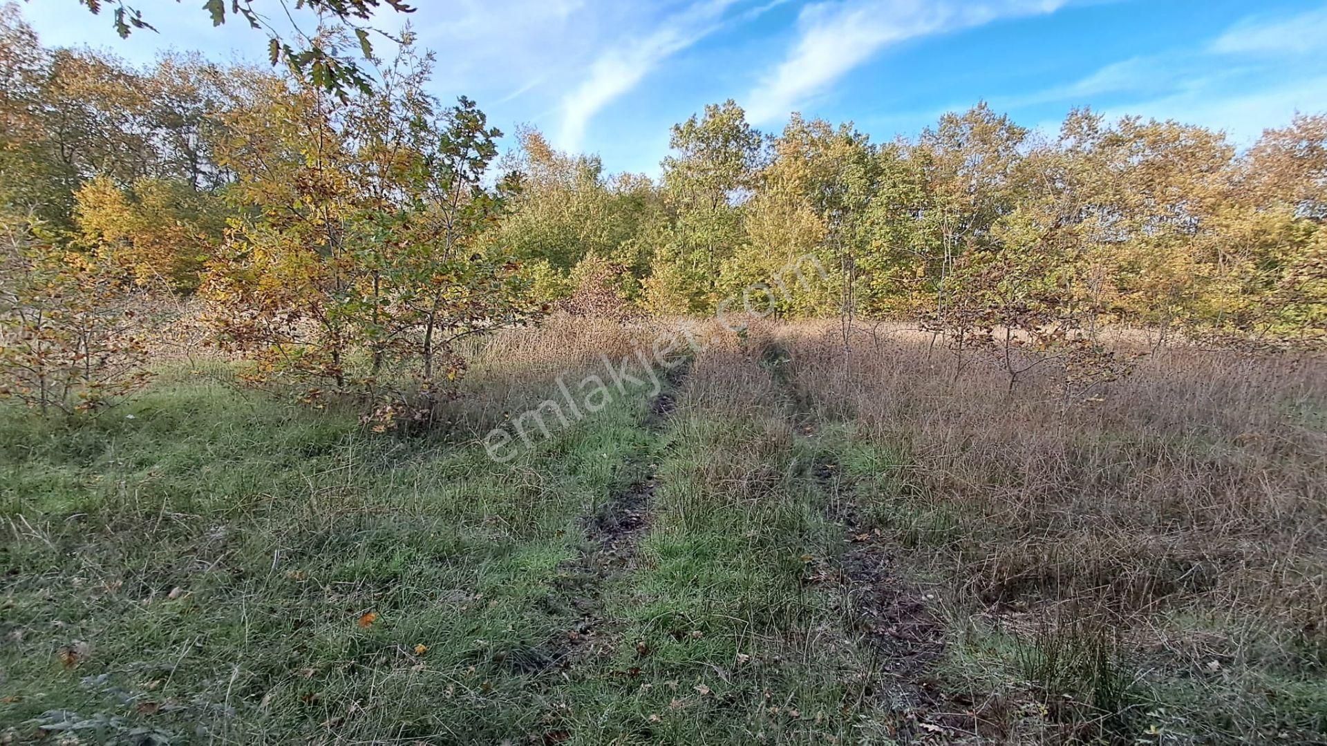 Akgün Kurumsal'dan Lengerli'de 5840m2 Satılık Fırsat Arsa - Görsel 4