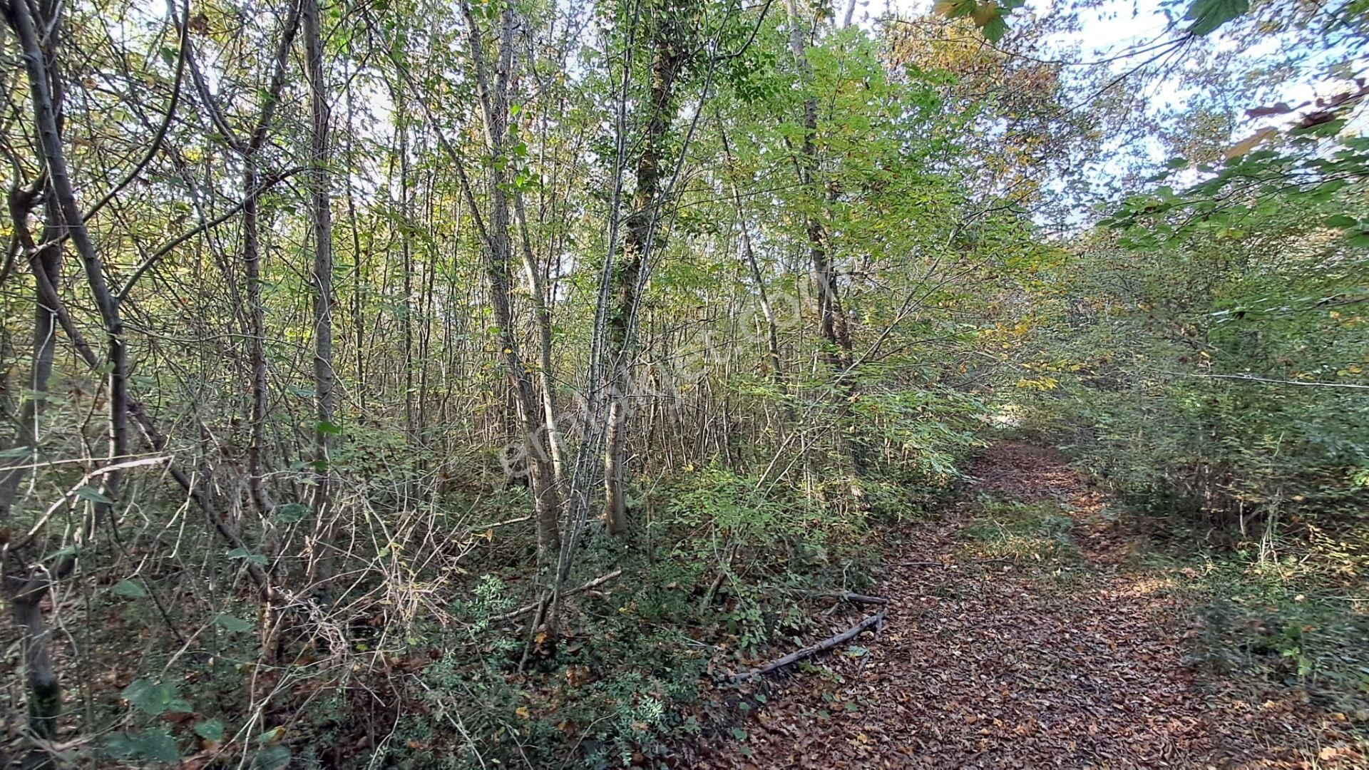 Akgün Kurumsal'dan Lengerli'de 5840m2 Satılık Fırsat Arsa - Görsel 10