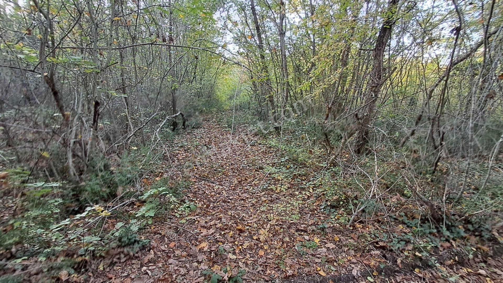 Akgün Kurumsal'dan Lengerli'de 5840m2 Satılık Fırsat Arsa - Görsel 12