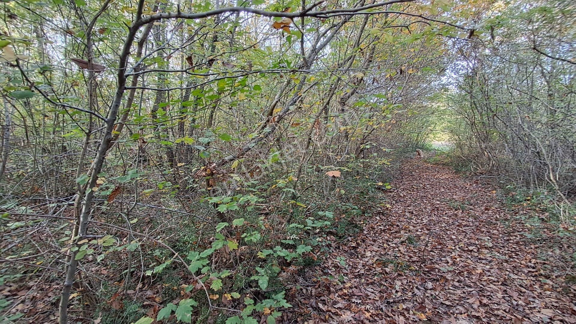 Akgün Kurumsal'dan Lengerli'de 5840m2 Satılık Fırsat Arsa - Görsel 6