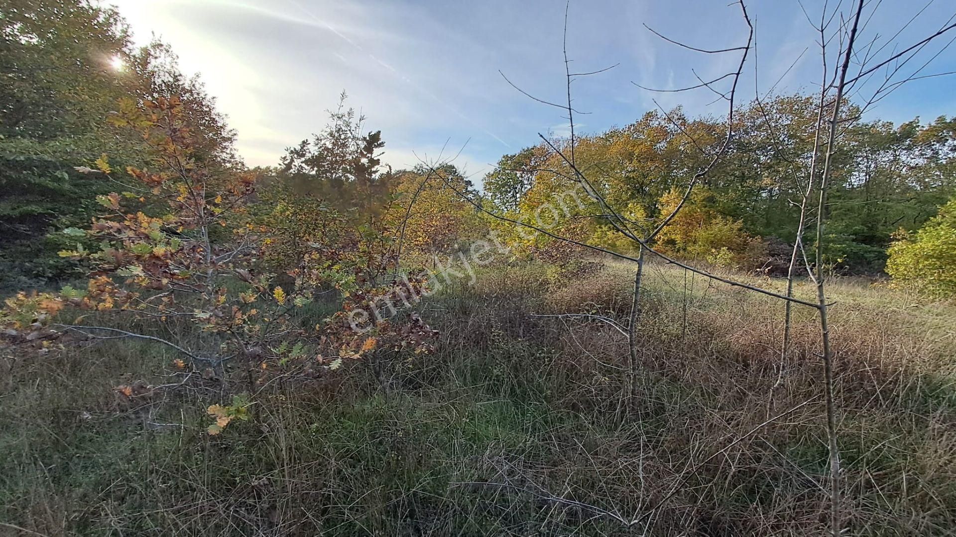 Akgün Kurumsal'dan Lengerli'de 5840m2 Satılık Fırsat Arsa - Görsel 3