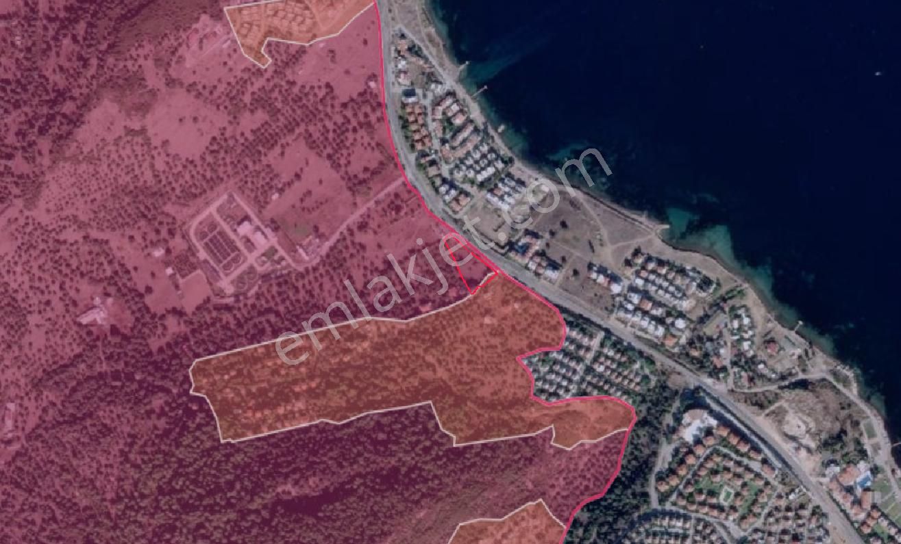 Golden Globy, Yeni Foça'da Denize 150 M. Mesafede Satılık 3.614 M2 Tarla