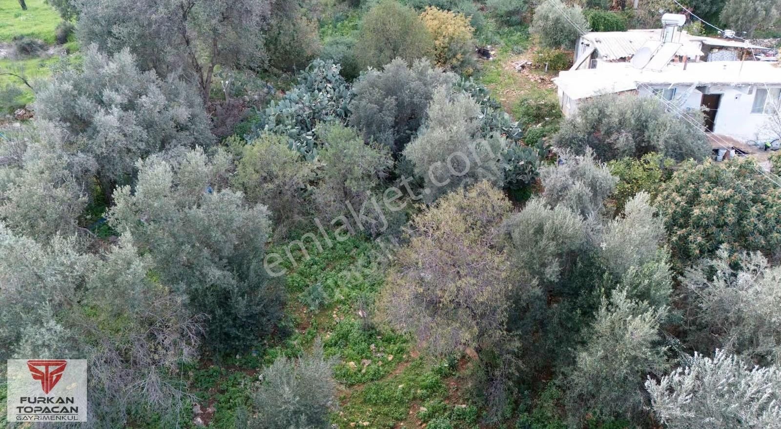 Furkan Topacan Gayrimenkul'den Satılık Arsa - Görsel 7