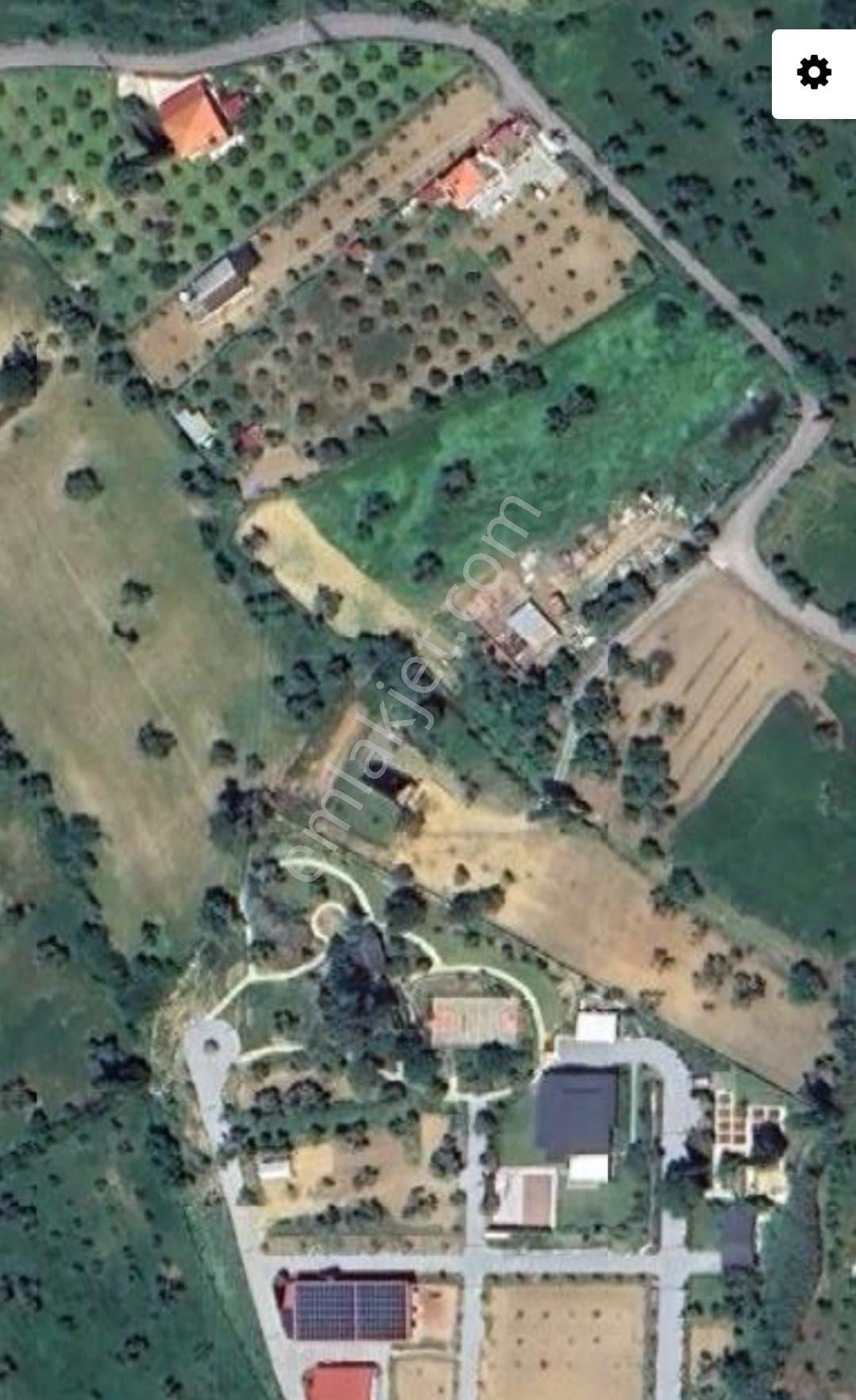 Urla Bademler Köyünde 4.217 M² Zeytin Ağaçlı Köy İçi Satılık Tarla 🌿