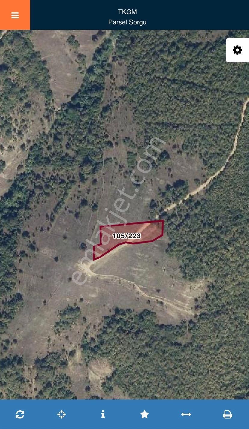Akgün Kurumsal'dan Kavak Da Satılık 2983 M2 Arsa - Görsel 2