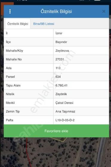 İzmir – Bayındır’da Satılık Fırsat Zeytinlik - Görsel 4