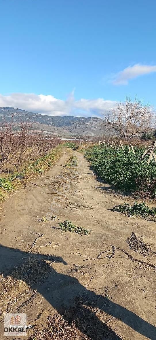 Okkalı Emlak Tan Menemen Mermerli Mah. De Satılık Bağ - Görsel 4