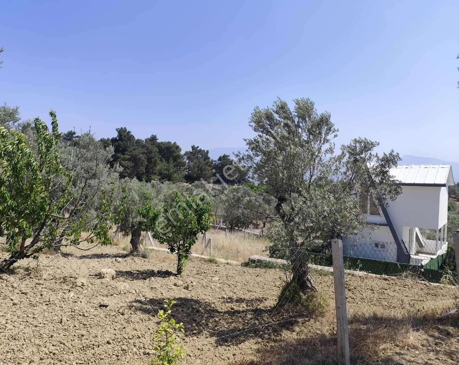 Kemalpaşa Damlacık'ta 320m2 Konteynerli Satılık Tarla - Görsel 6