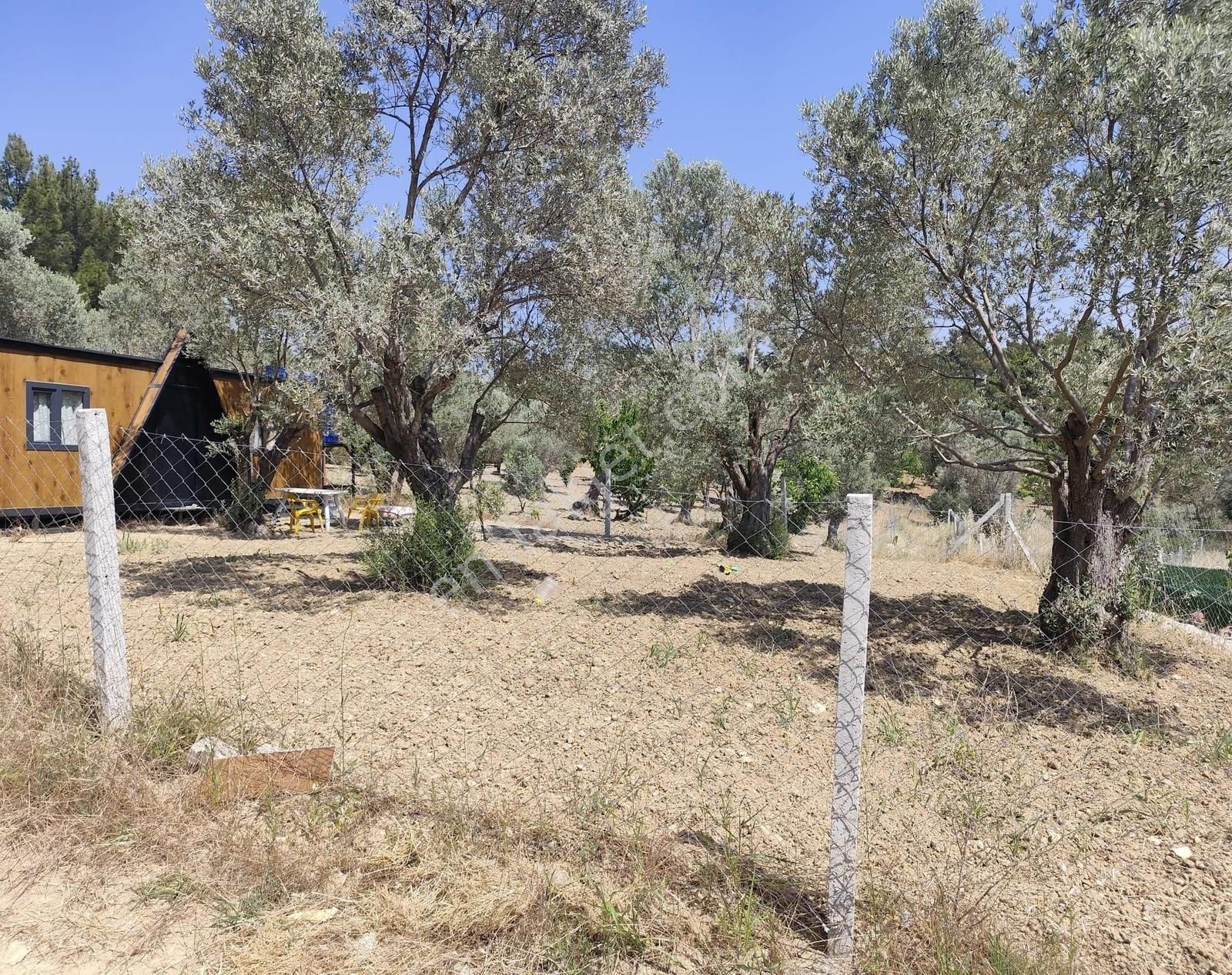 Kemalpaşa Damlacık'ta 320m2 Konteynerli Satılık Tarla - Görsel 15