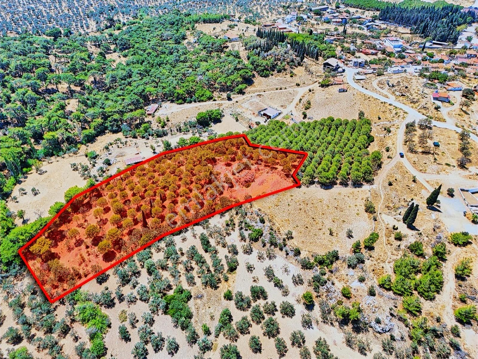 Sağlam Zeminde Güvenli Gelecek! - Görsel 14