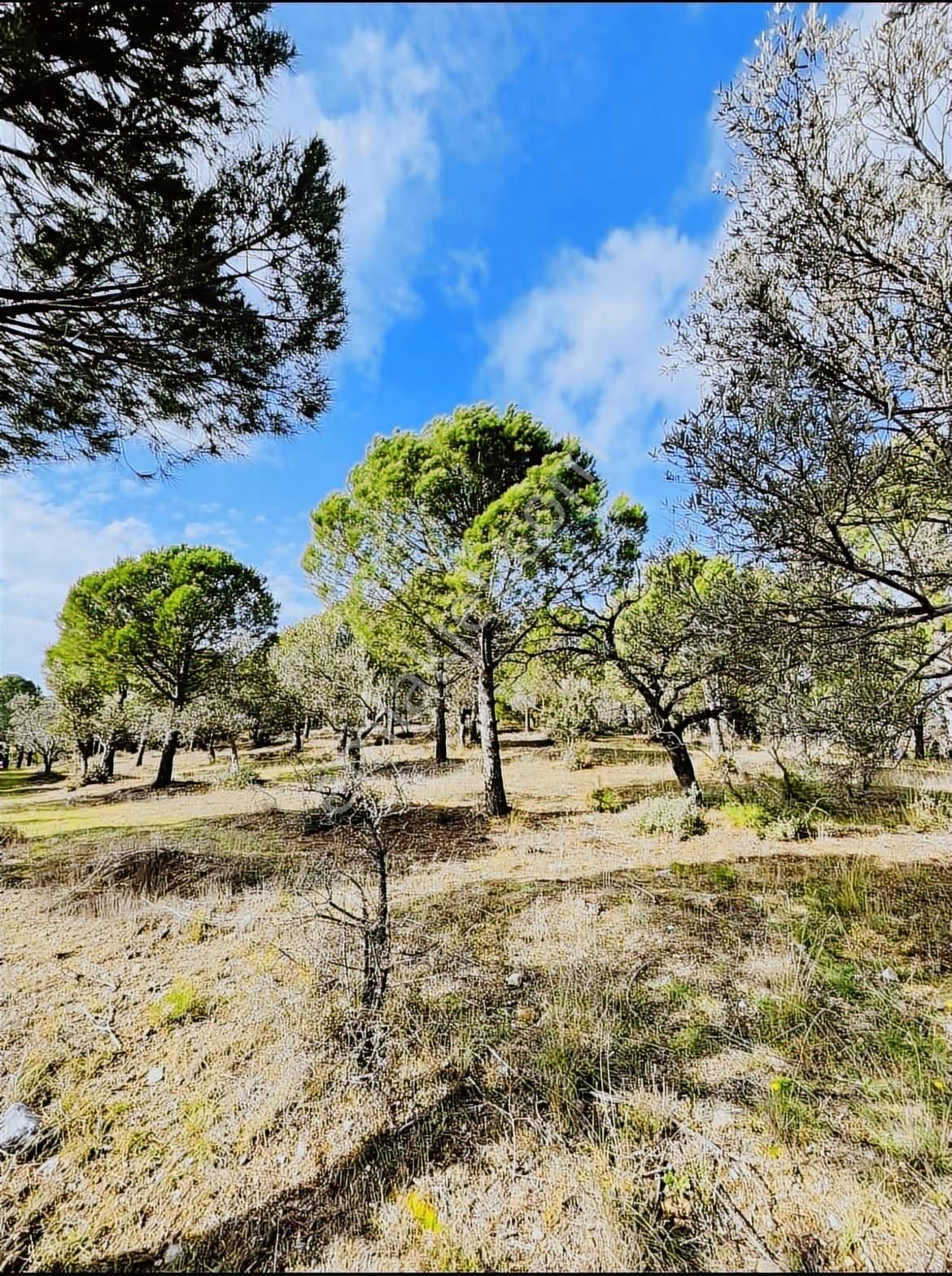 Sağlam Zeminde Güvenli Gelecek! - Görsel 6