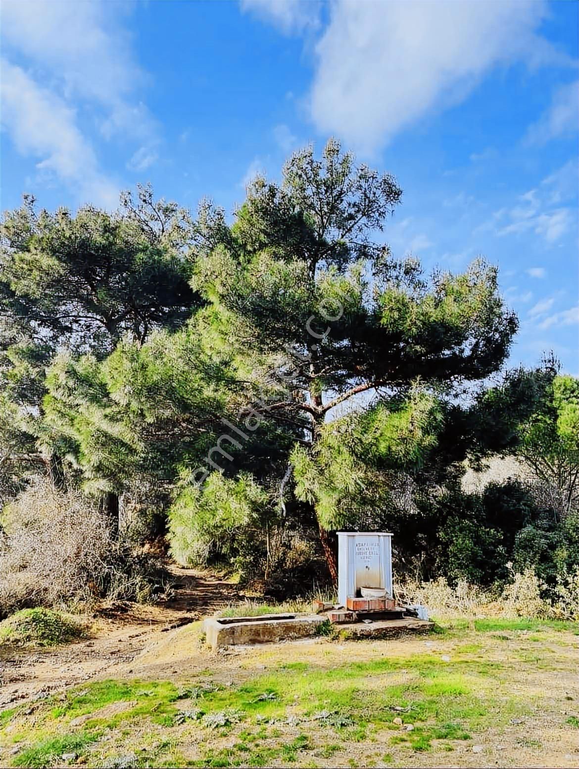 Sağlam Zeminde Güvenli Gelecek! - Görsel 11