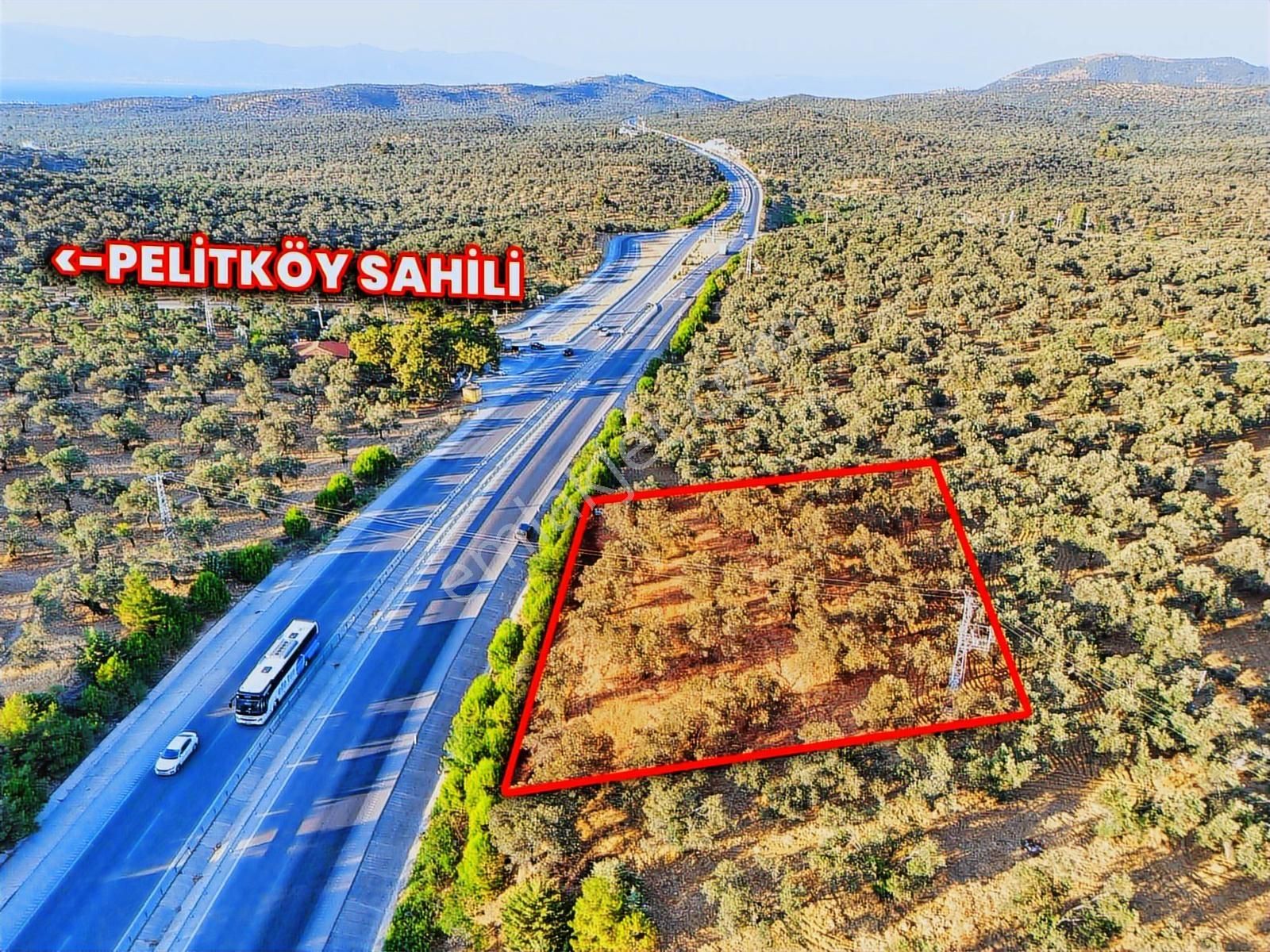 E-87 Karayolu Cepheli, Pelitköy Sahil Yolu Üzeri Yatırım Fırsatı - Görsel 9