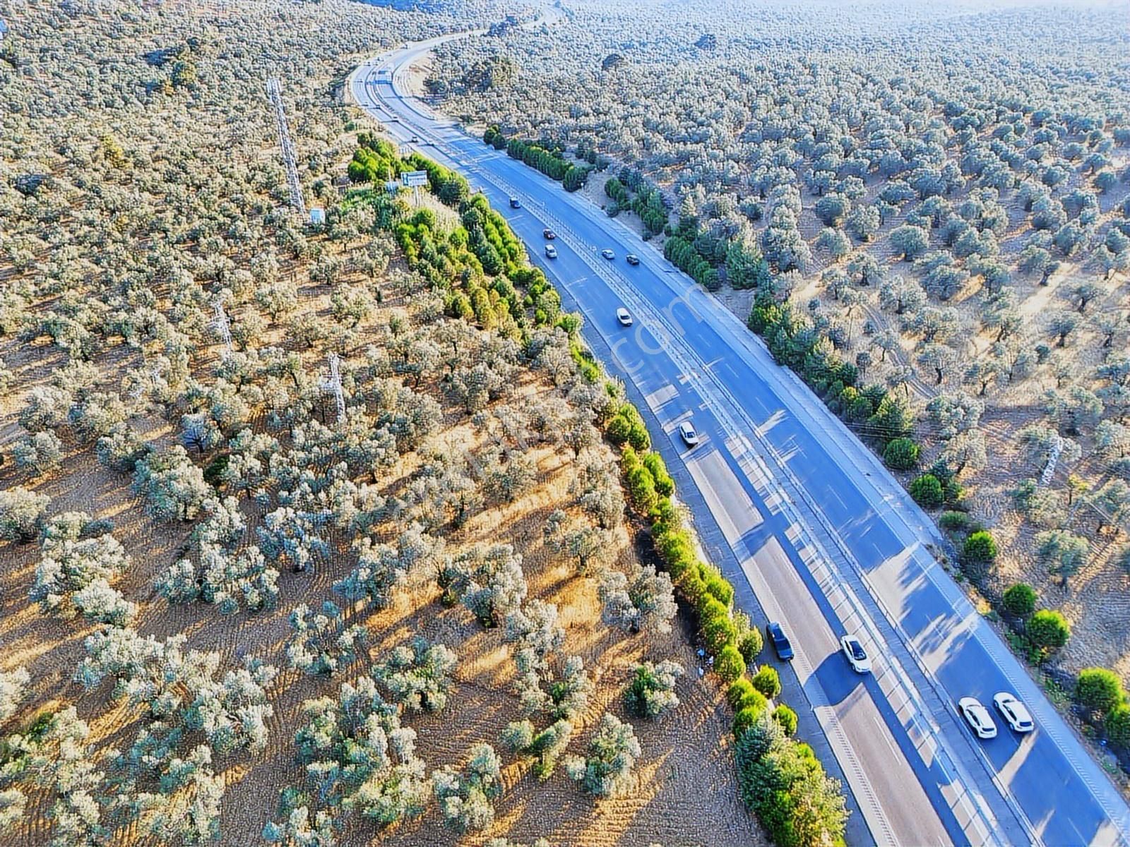 E-87 Karayolu Cepheli, Pelitköy Sahil Yolu Üzeri Yatırım Fırsatı - Görsel 5