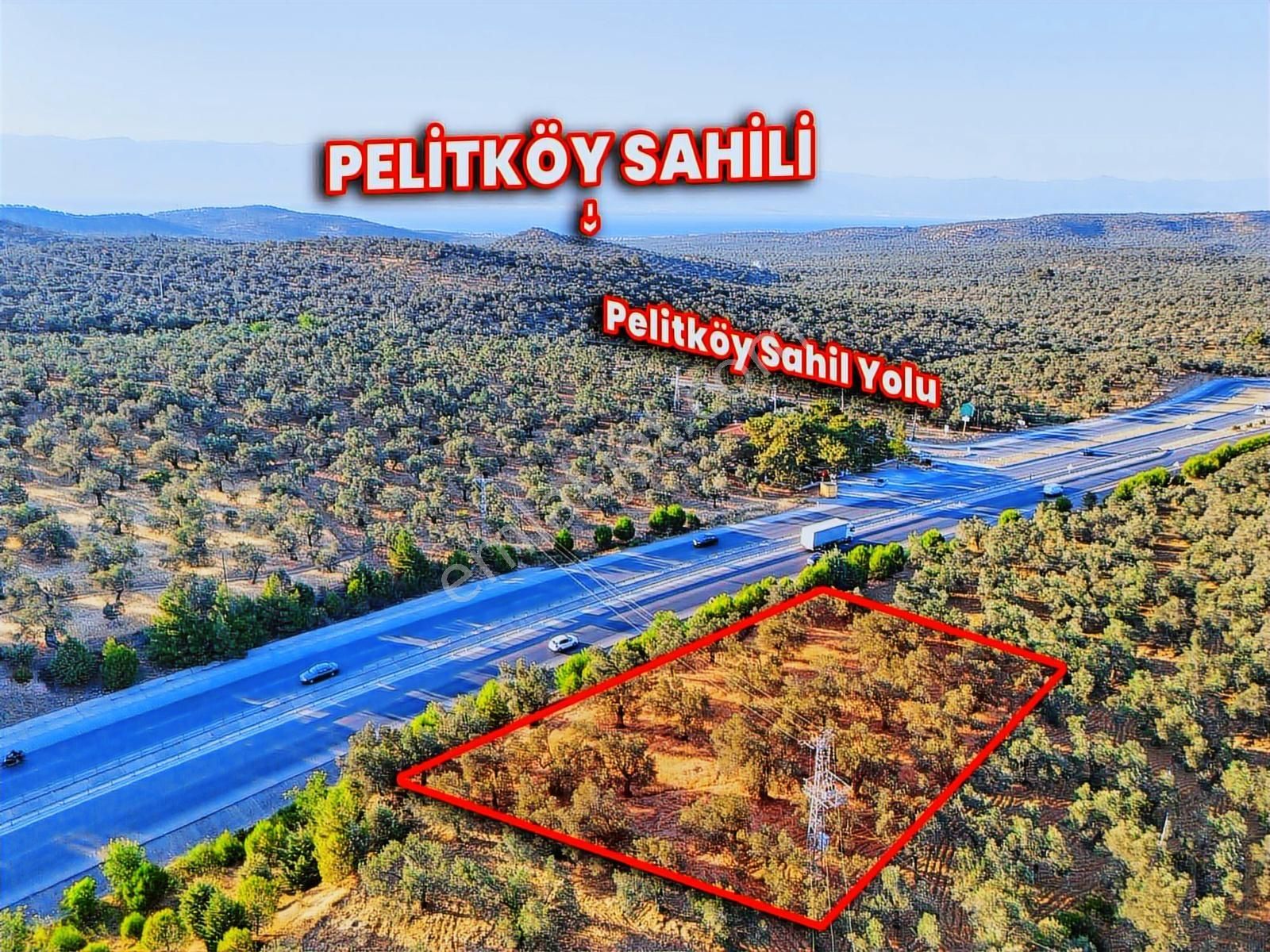 E-87 Karayolu Cepheli, Pelitköy Sahil Yolu Üzeri Yatırım Fırsatı - Görsel 6