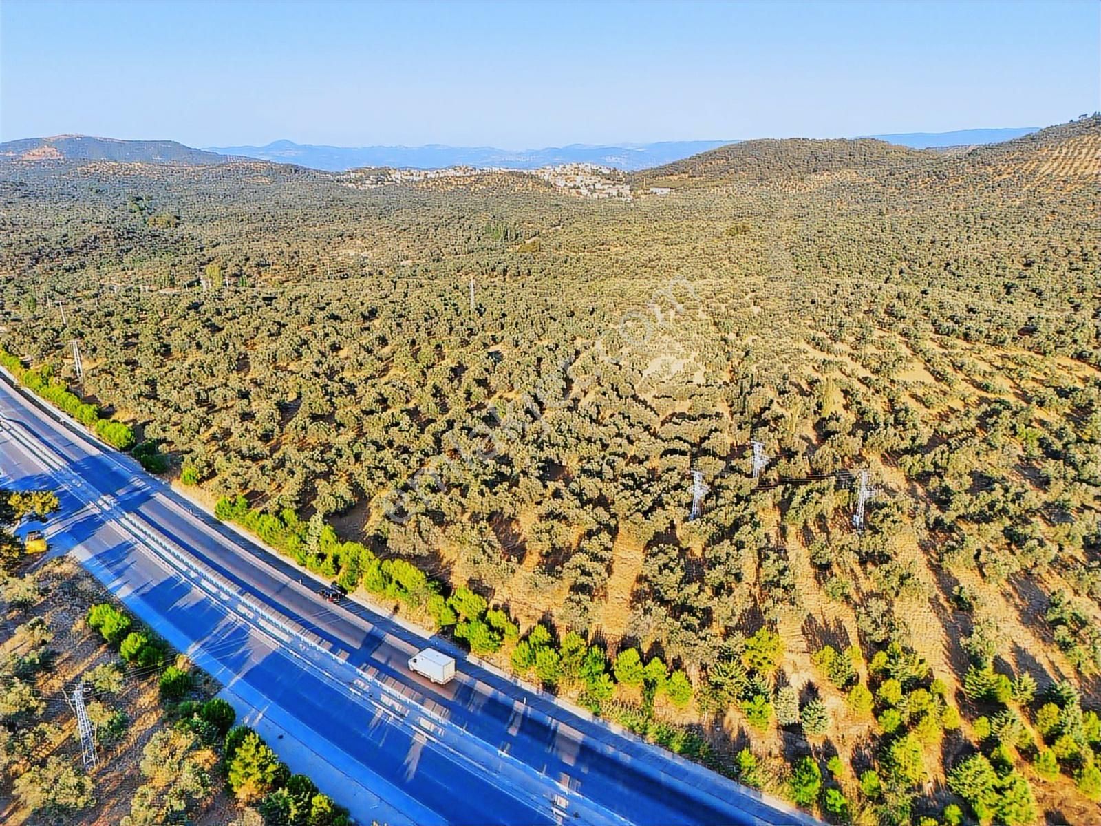 E-87 Karayolu Cepheli, Pelitköy Sahil Yolu Üzeri Yatırım Fırsatı - Görsel 8