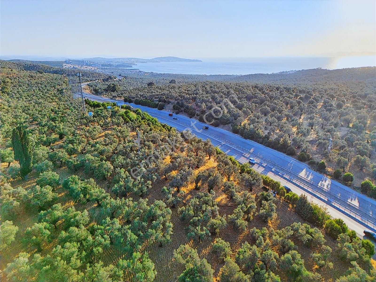 E-87 Karayolu Cepheli, Pelitköy Sahil Yolu Üzeri Yatırım Fırsatı - Görsel 7