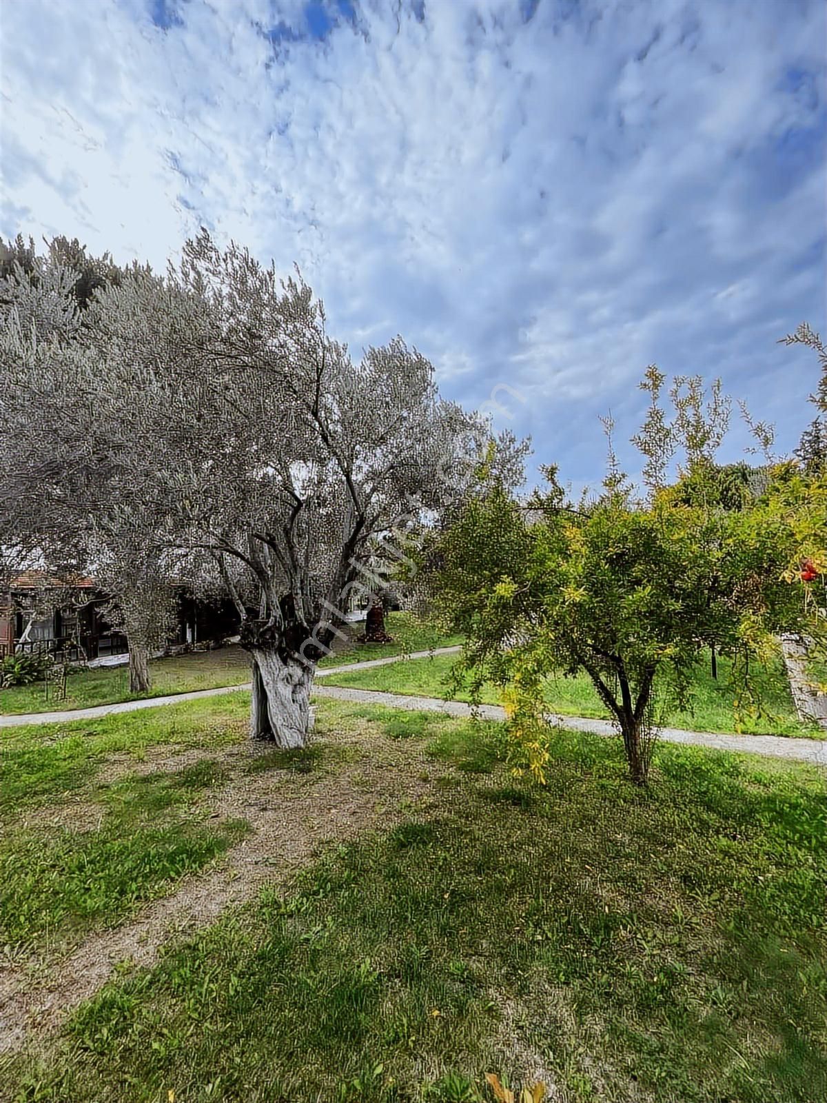 Denize Adım Adım: 120 Metre Mesafede Villa! - Görsel 10