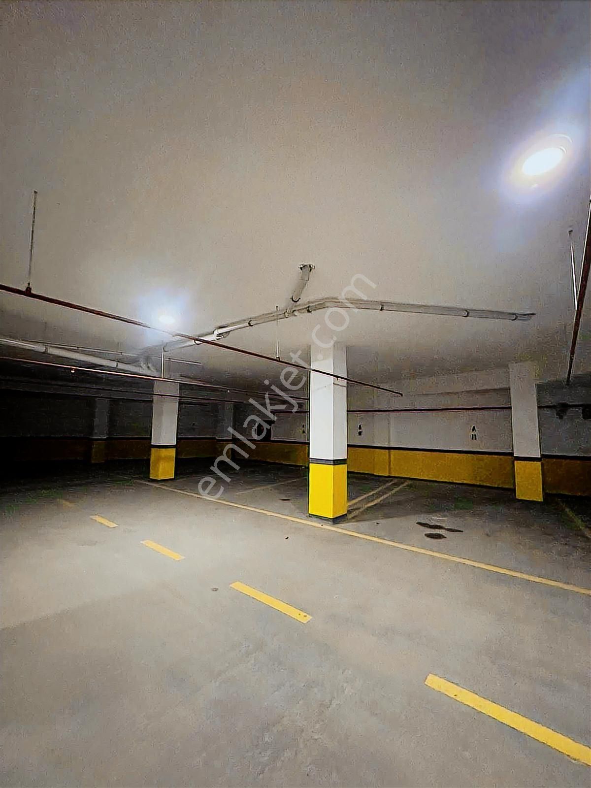 "bildiklerinizi Unutun"... - Görsel 13