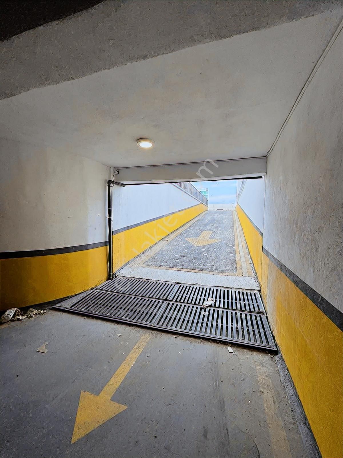 "bildiklerinizi Unutun"... - Görsel 21