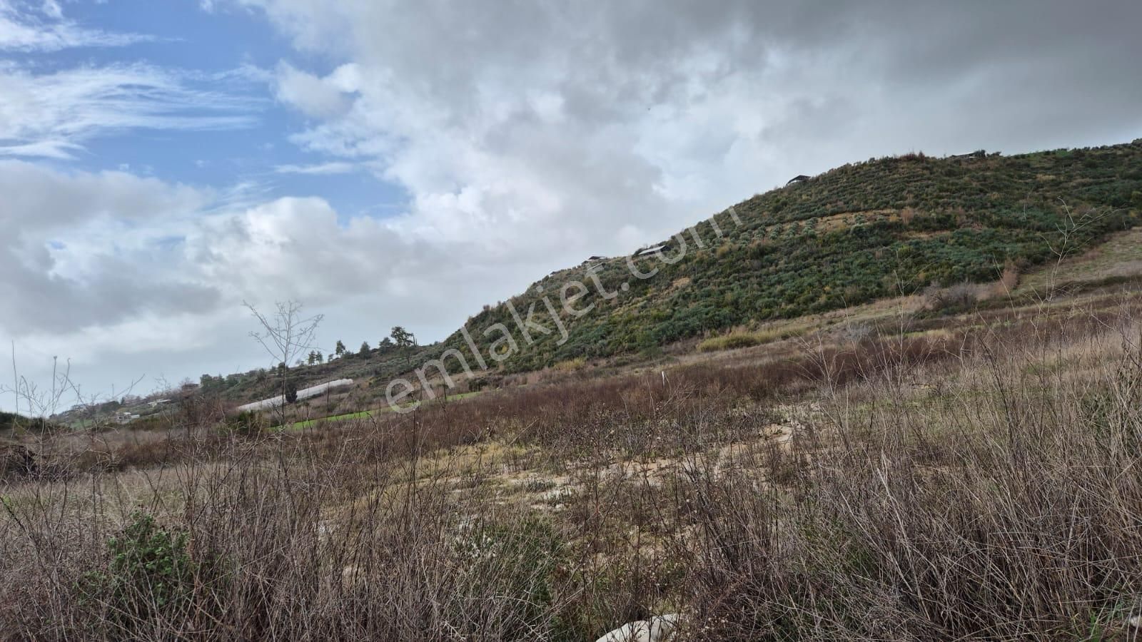 Manavgat Merkeze 8 Km Acil Satılık 33 Dönüm Tarla - Görsel 2