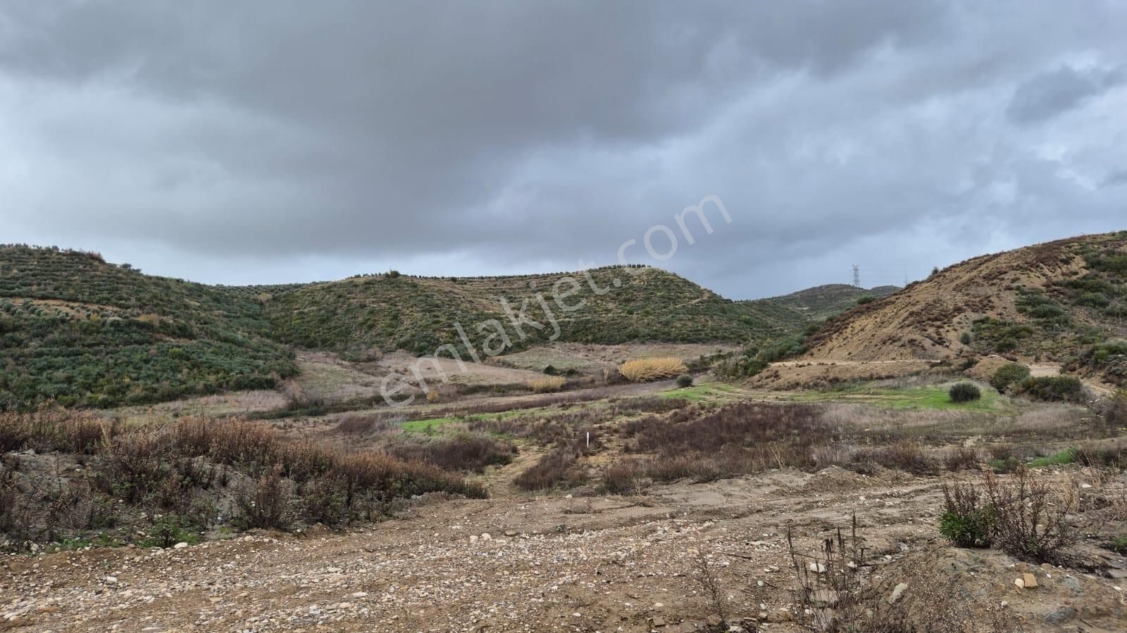 Manavgat Merkeze 8 Km Acil Satılık 33 Dönüm Tarla - Görsel 3