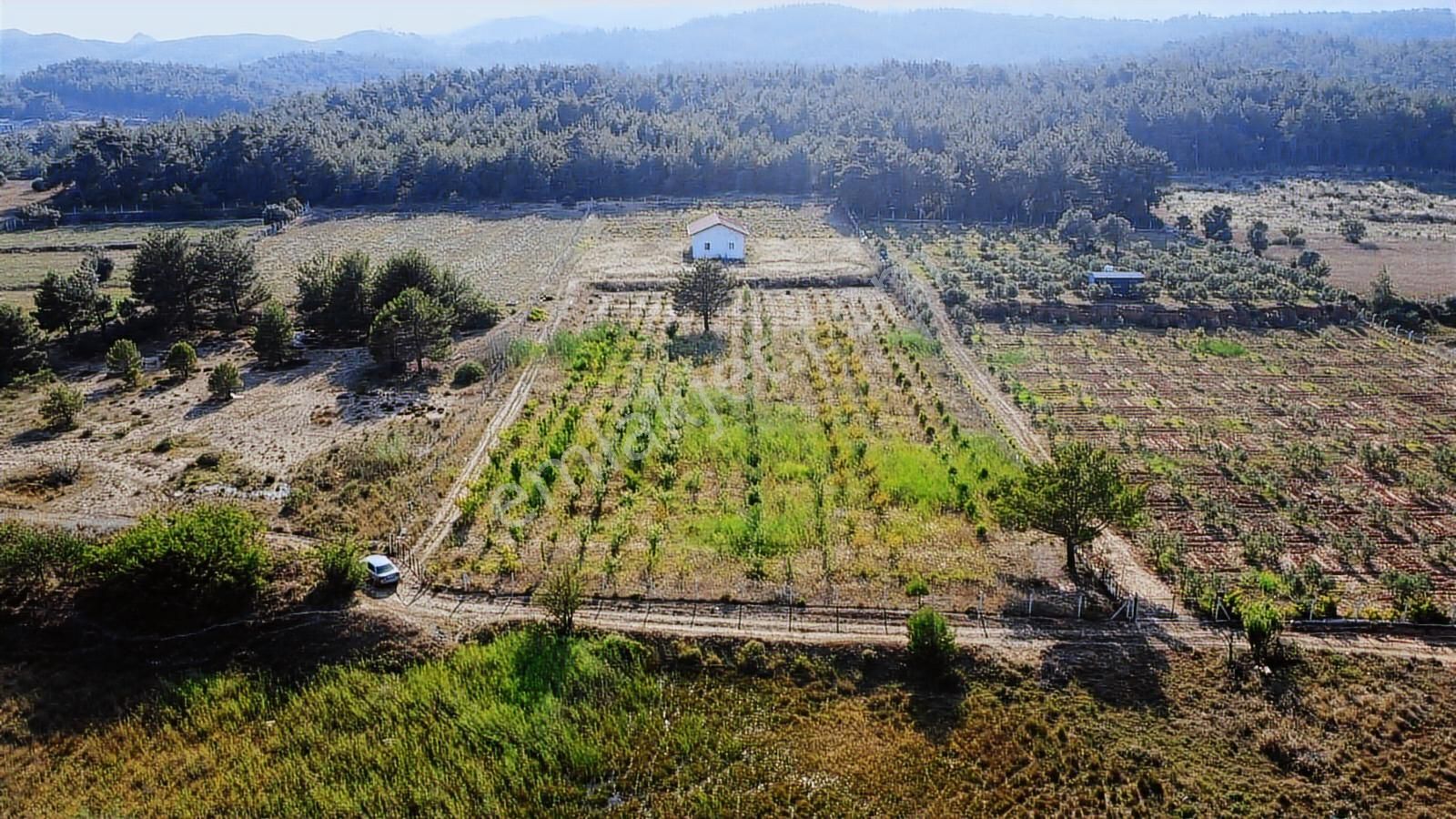Doğayla İç İçe Organik Tarım Arazisi Yatırım Ve Yaşam İçin - Görsel 4
