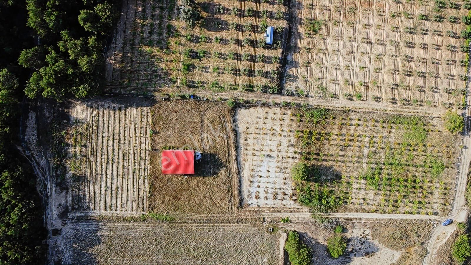 Doğayla İç İçe Organik Tarım Arazisi Yatırım Ve Yaşam İçin - Görsel 6