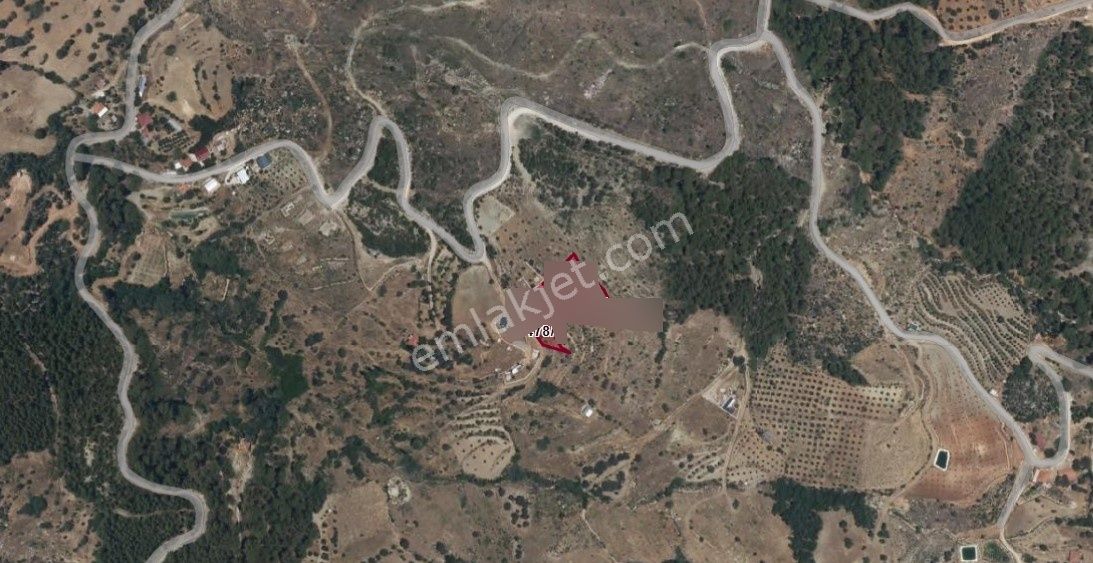 Seydikemer Bayır'da 5 Parsel Toplam 3427 M2 2b Arazi - Görsel 2