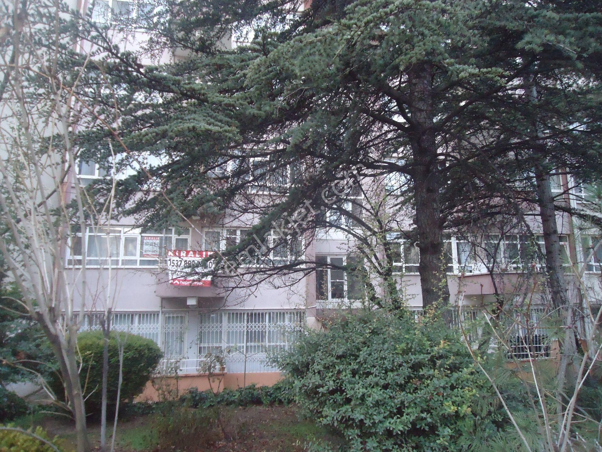 Türiş Bloklarında Gizem Emlak'tanlak'tan 2+l Eşyalı Merkezi Yerde - Görsel 33