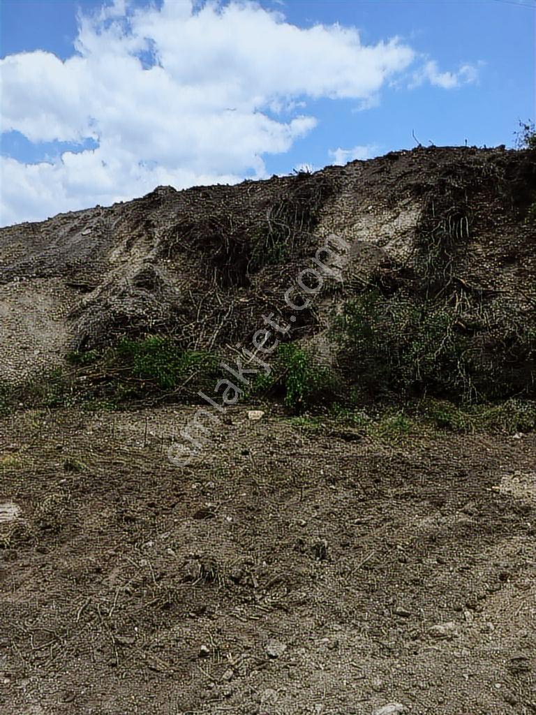 Bmk Kumluca Yenikışlada 31 Dönüm Satılık Tarla Ve Nar Bahçesi - Görsel 26