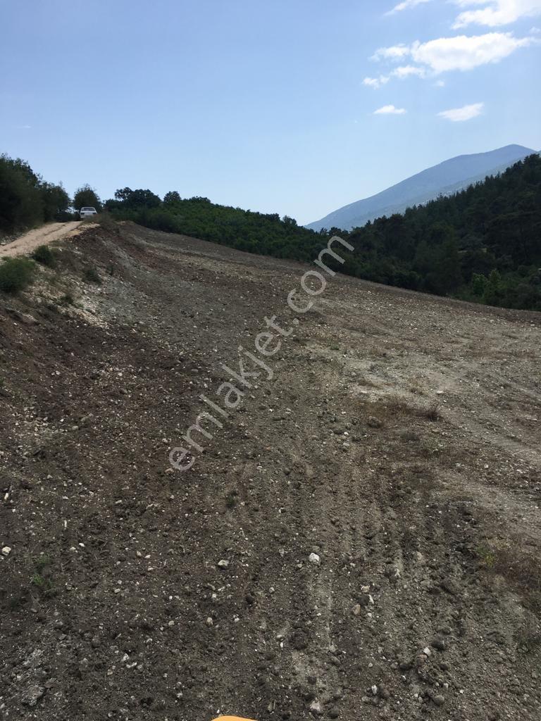 Bmk Kumluca Yenikışlada 31 Dönüm Satılık Tarla Ve Nar Bahçesi - Görsel 5
