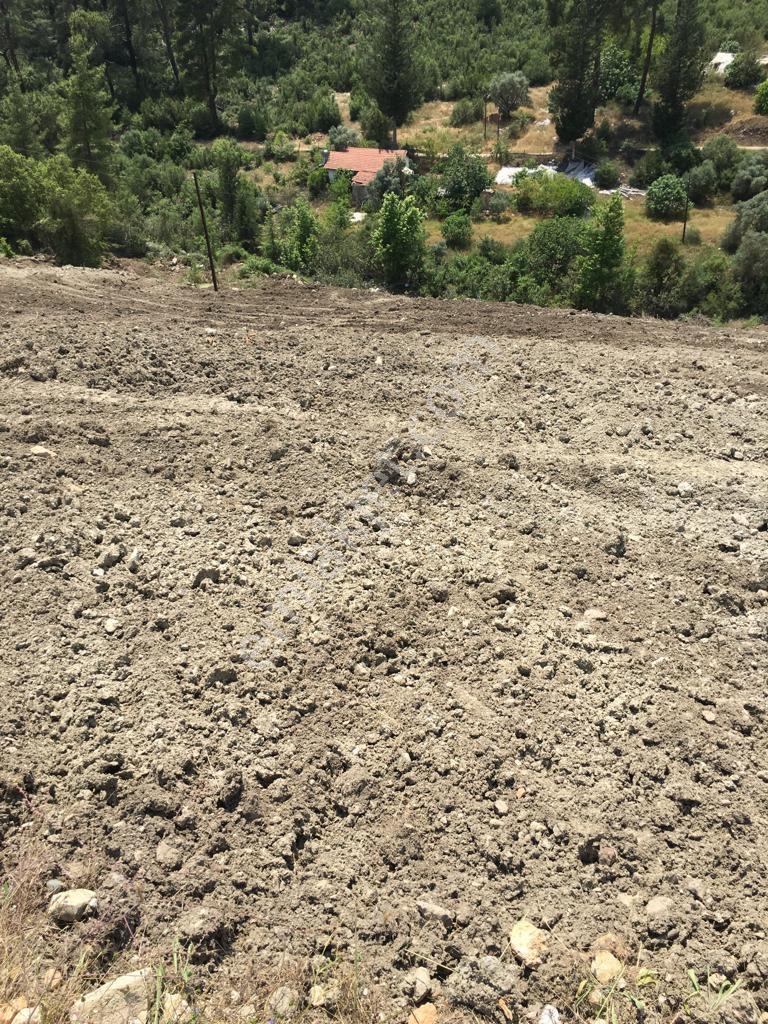 Bmk Kumluca Yenikışlada 31 Dönüm Satılık Tarla Ve Nar Bahçesi - Görsel 7