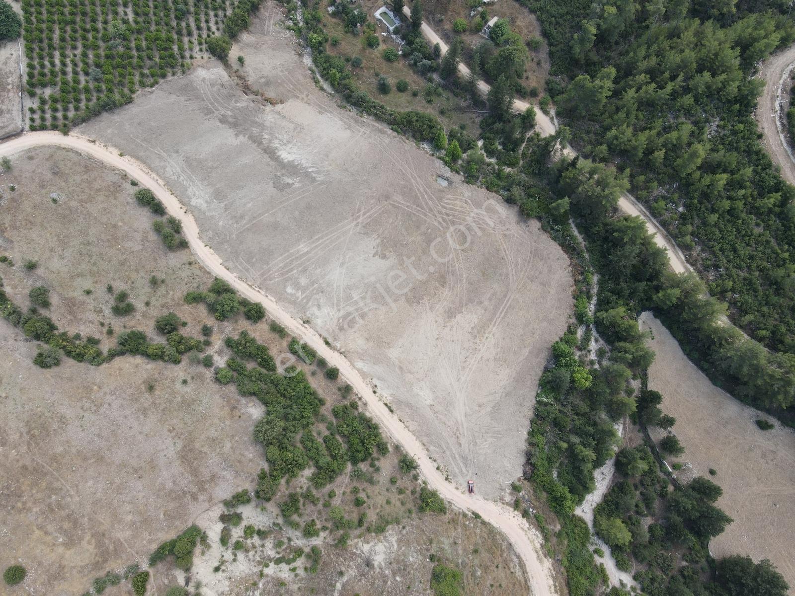 Bmk Kumluca Yenikışlada 31 Dönüm Satılık Tarla Ve Nar Bahçesi - Görsel 11
