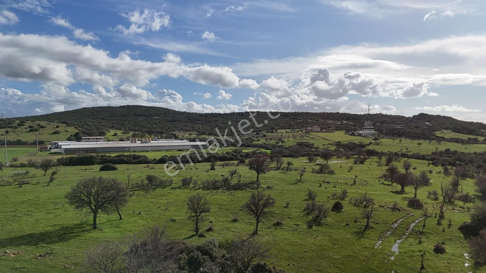 Realiva'dan Bergama Örlemişte Yola Cephe Satılık Tarla